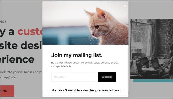  A pop-up in the middle of the page, covering other content visitors might be interested in reading. The pop-up has an image of an adorable ginger kitten looking down and to the left. Underneath the image, the pop-up says 
